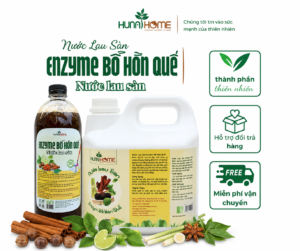 Nước lau sàn enzym bồ hòn