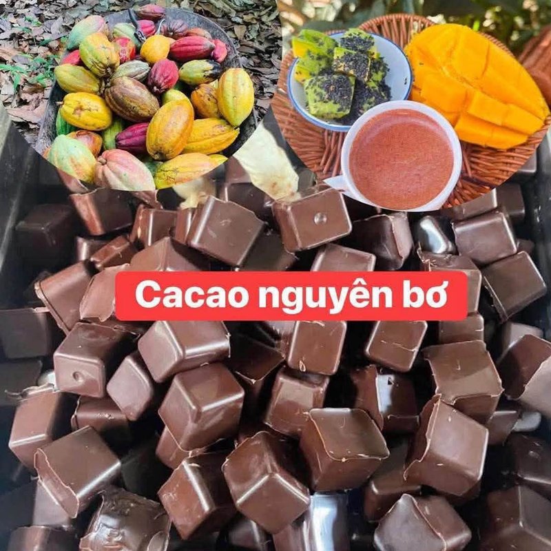 Cacao nguyên chất