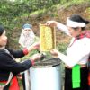Mật Ong Bản Dao – Nguyên Chất Hòa Bình (OCOP 3 Sao, VietGAP)