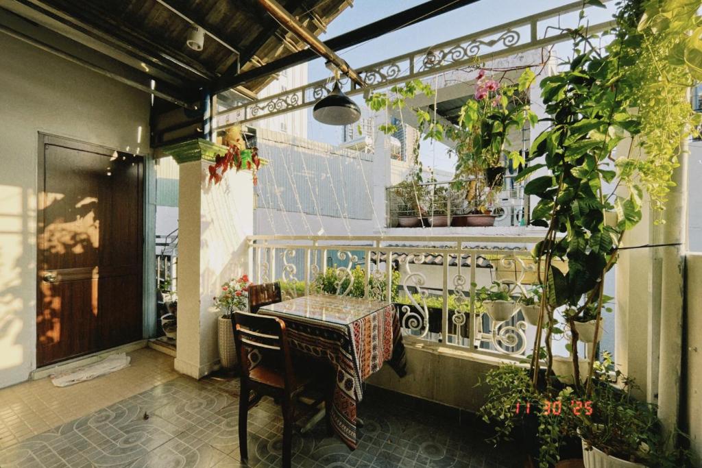 Bộ trà thảo mộc Việt Nam
