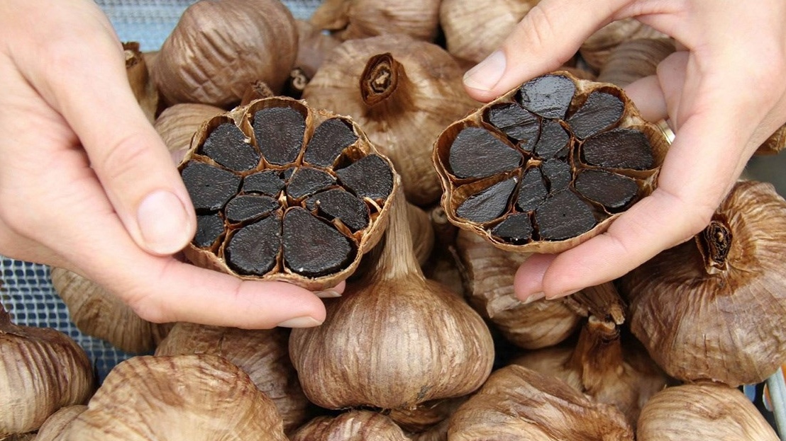 Tỏi tươi nguyên liệu