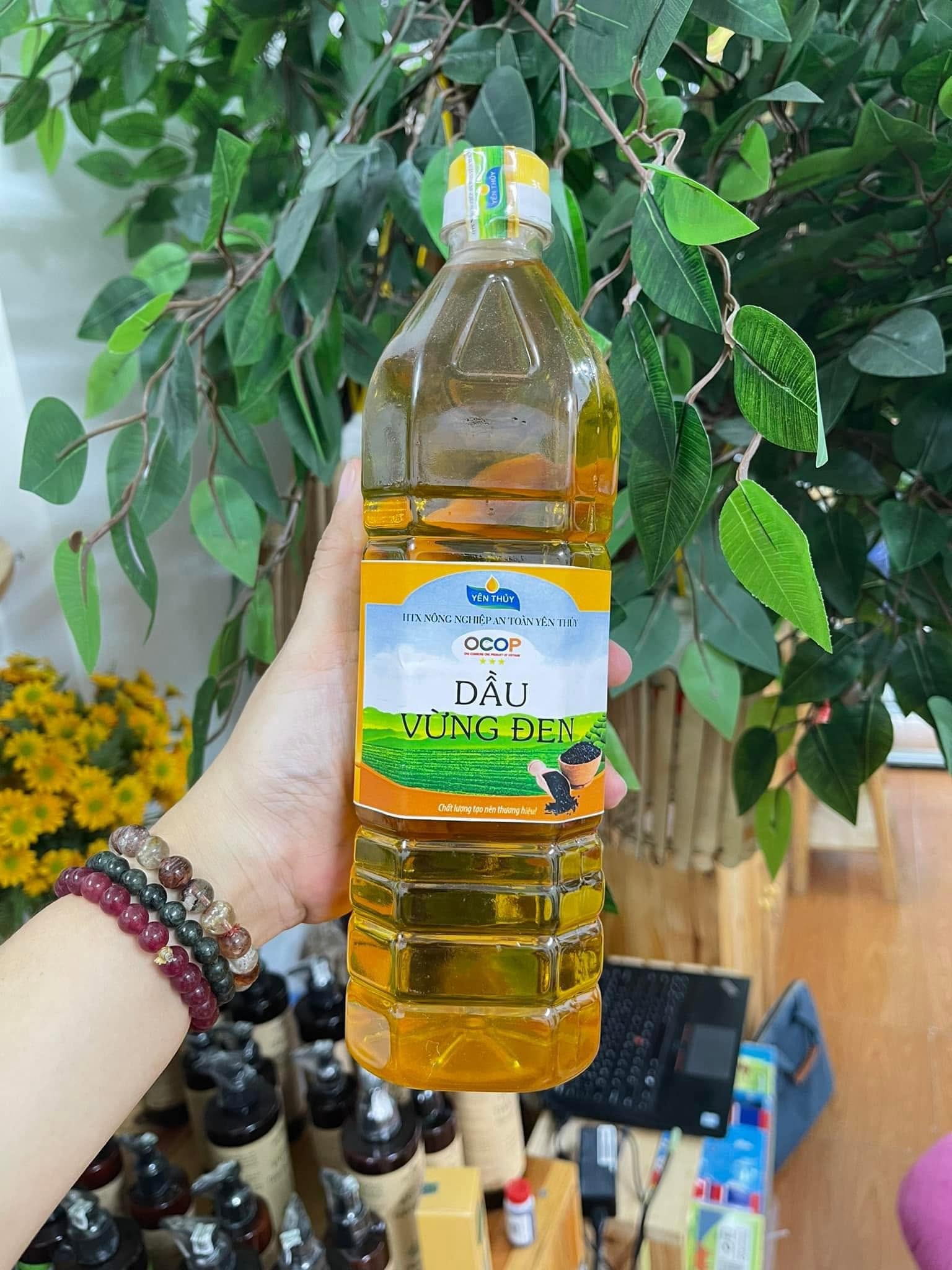 Dầu Vừng Đen Nguyên Chất Yên Thủy – Hòa Bình (OCOP 3 Sao)