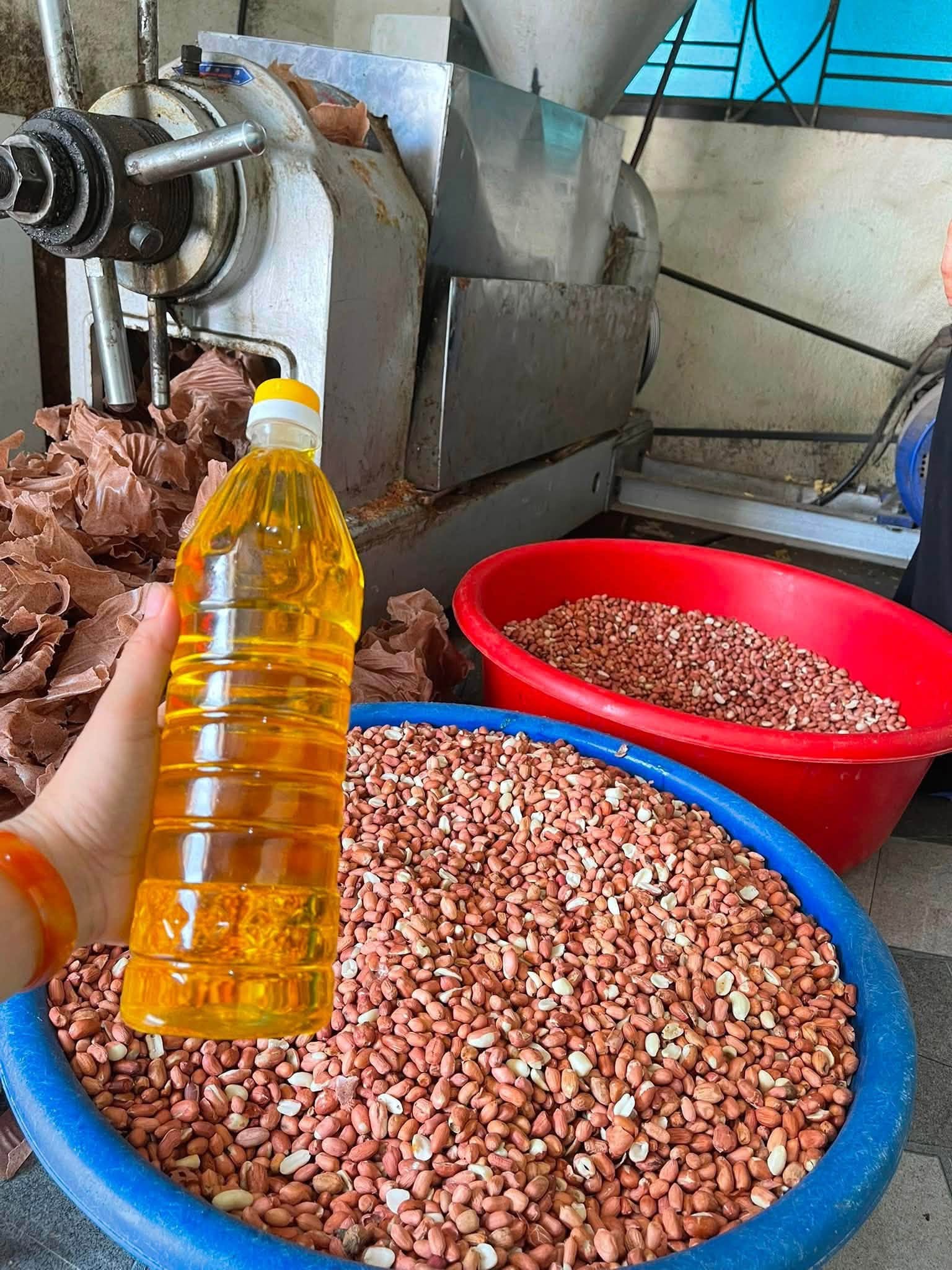 Dầu Lạc Nguyên Chất Yên Thủy – Hòa Bình (OCOP 4 Sao) - Ảnh 3